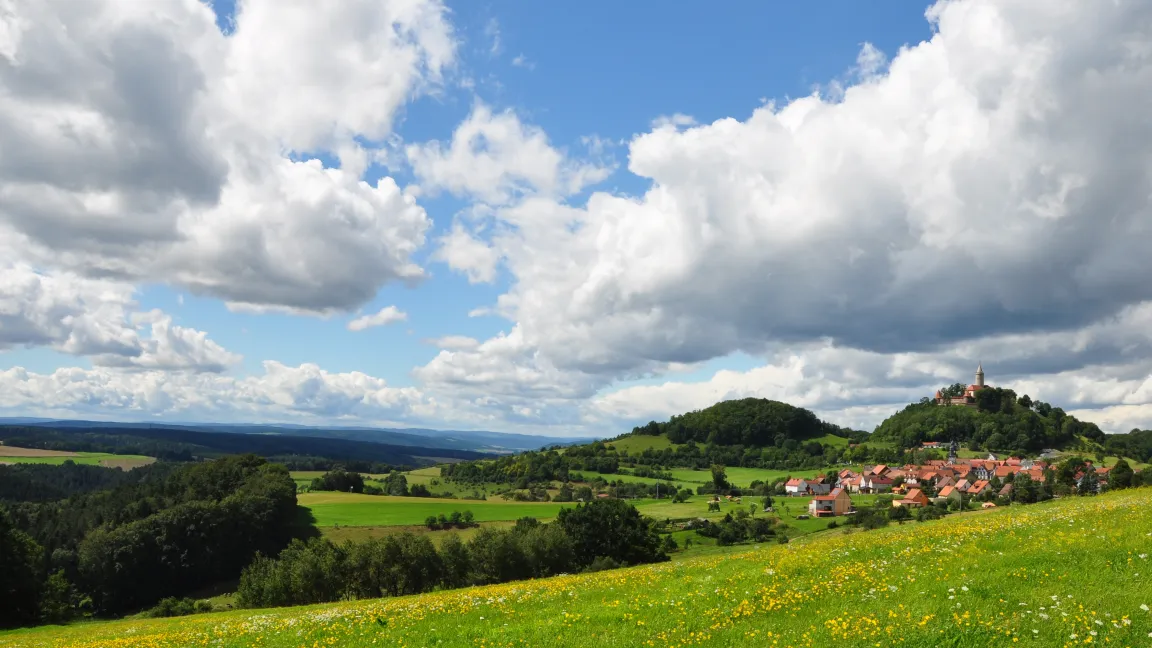 Im von der Kiefer geprägten Ostthüringischen Trias-Hügelland sind die Schädigungen etwa gleich geblieben Foto: TLWJF Gotha