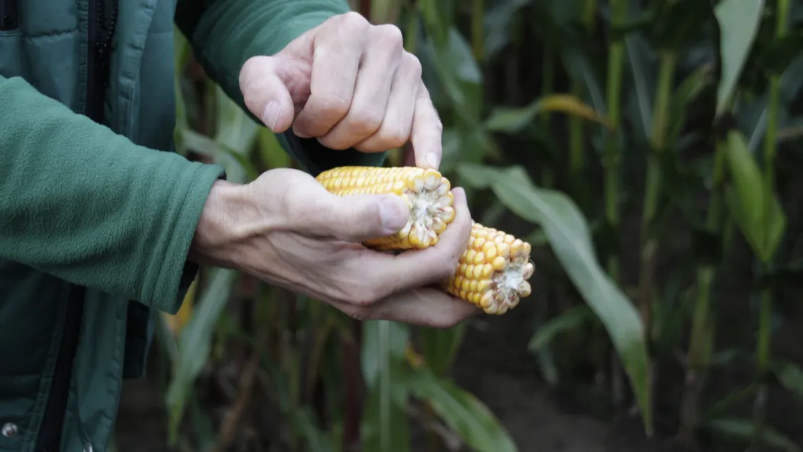 Das Netzwerk DPPN erforscht genau diese Wechselwirkungen, indem es den Phänotyp erfasst und sie in einer großen Datenbank zusammenführt. Foto: Angelika Sontheimer