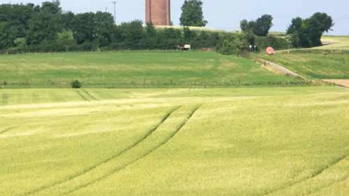 Auf Böden, die wenig Wasser speichern können, werden die Ertragsverluste durch die Trockenheit besonders groß sein. Die hellen Bereiche weisen darauf hin. 
Quelle: Matthias Wiedenau