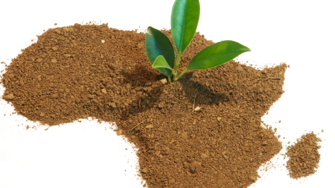 Genügend Nahrungsmittel für Afrika .... Foto: Istock