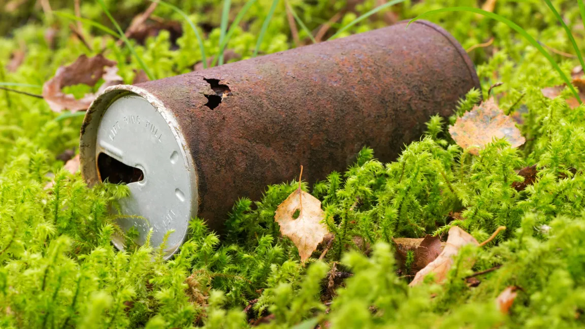 Müll gehört nicht in die Natur. Foto: Fotolia