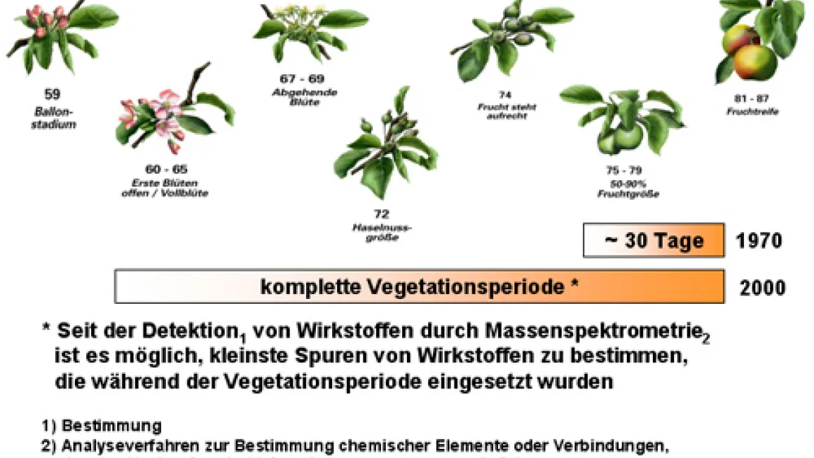 Analytischer Rückblick im Apfelanbau.
	Quelle: Bayer CropScience