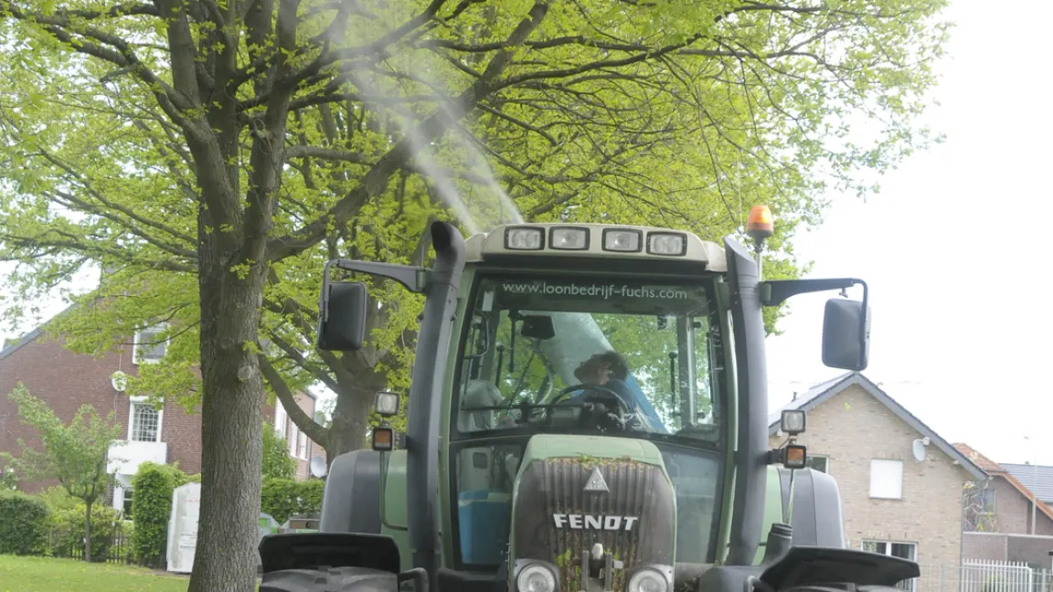 Wichtig ist die Einzelbehandlung der Eichen. Foto: agrar-press