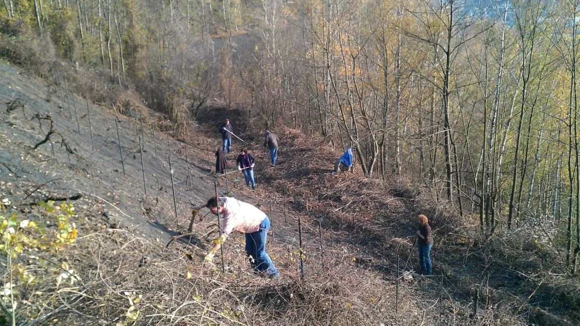 Die ersten Arbeiten im „Weinberg“: Alte Weinstöcke freischneiden, abgestorbene entfernen, neue pflanzen und Drähte spannen. Foto: Jürgen Batalia.