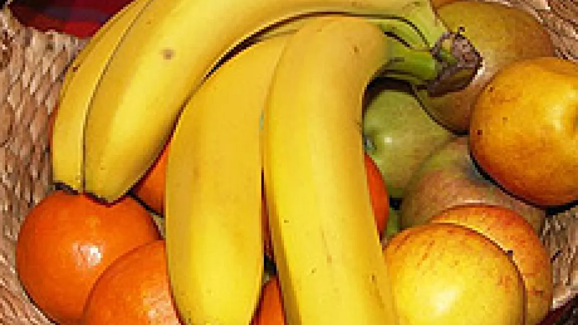 Bananen – handlich verpackte Energie-, Vitamin- und Mineralstofflieferanten.
Quelle: Matthias Wiedenau