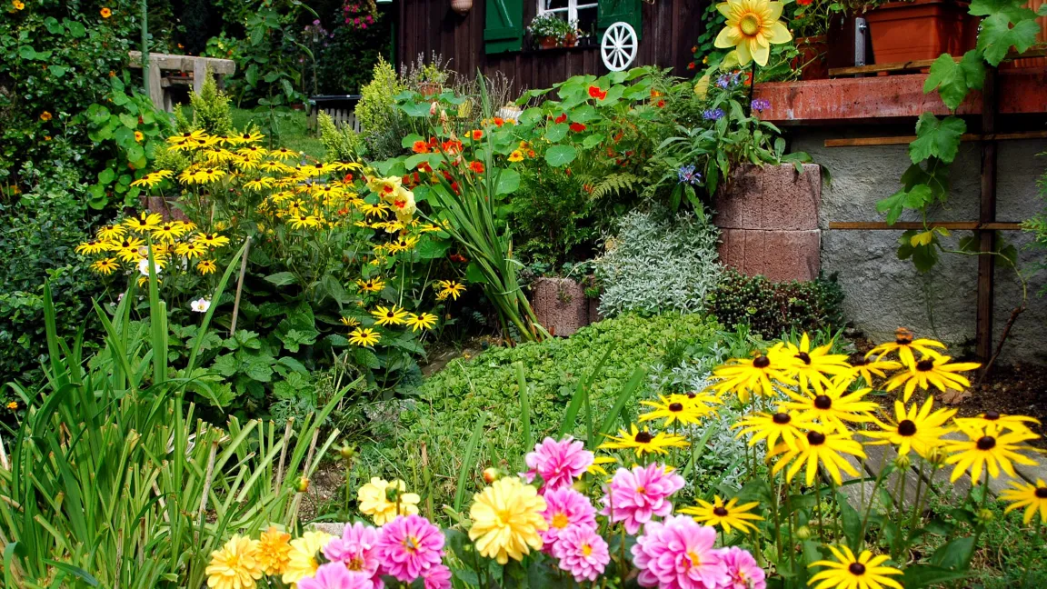 Der Tag des Gartens wird am 19.6.2011 auf der Bundesgartenschau in Koblenz eröffnet. Foto: BDG