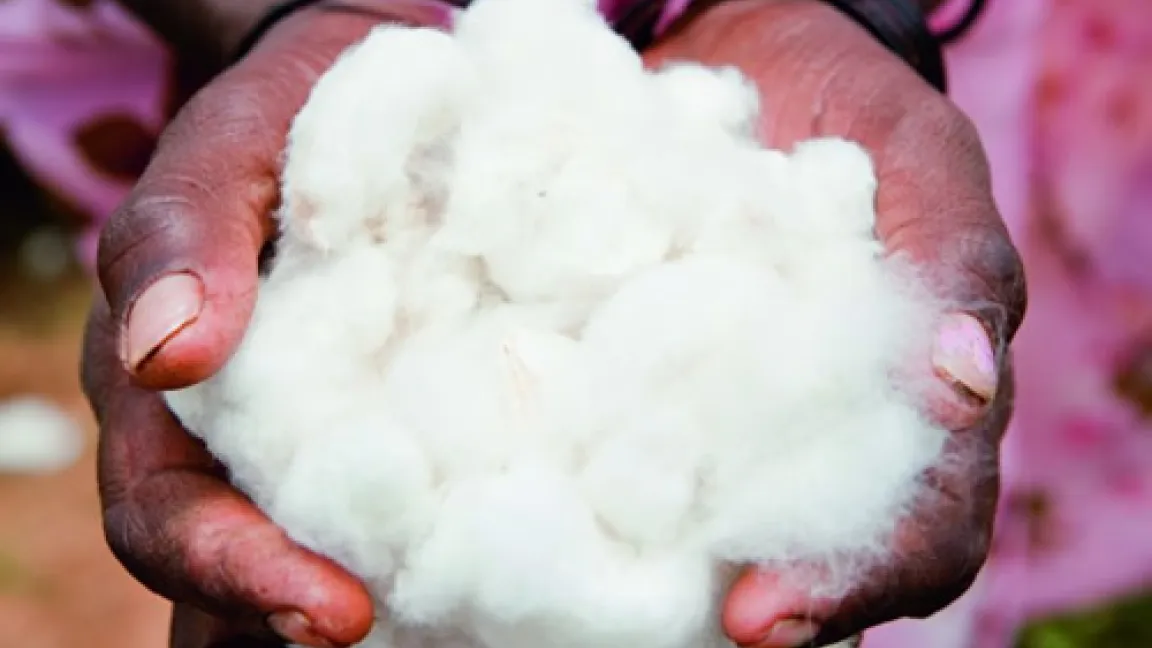 Baumwolle ist die Existenzgrundlage für viele Bauern in Entwicklungsländern.
Quelle: Bayer CropScience