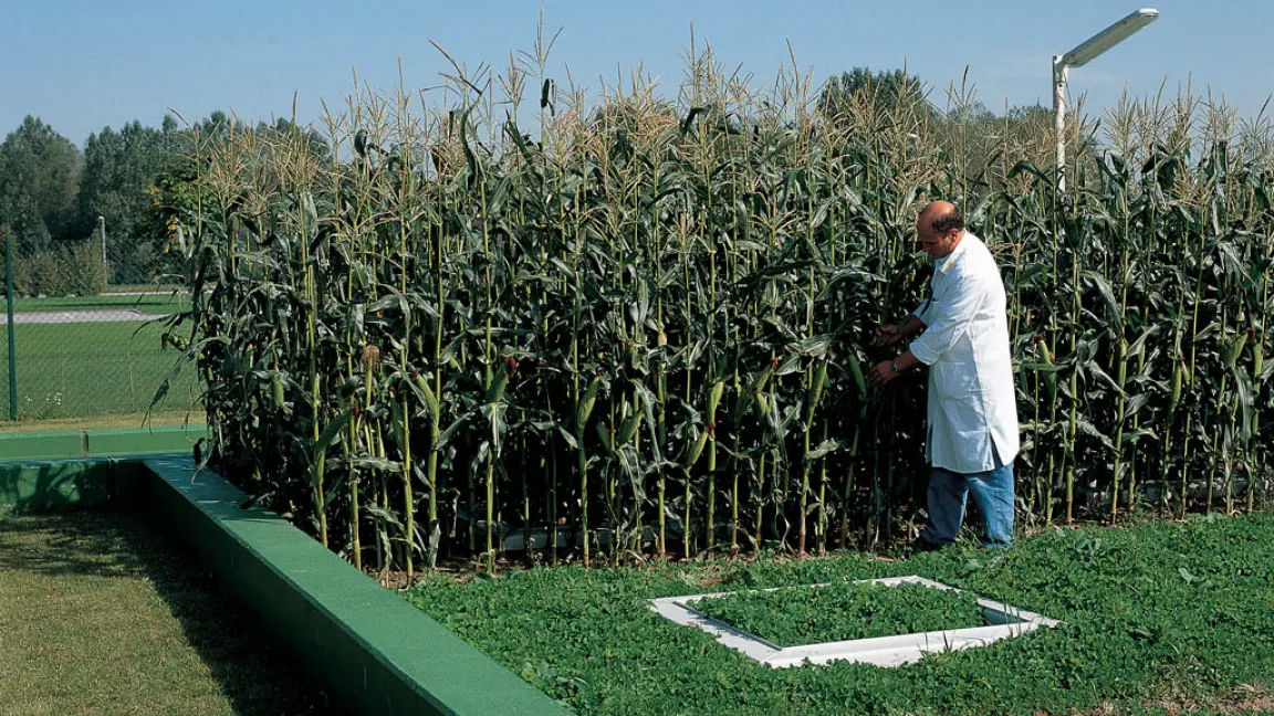 Messung der Quantität und Qualität von Sickerwasser mit einem Lysimeter. Foto: Bayer CropScience