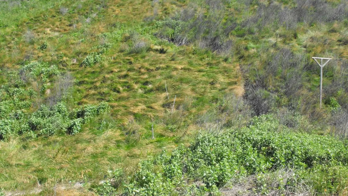 Damit das Wasser nicht abfließt, sondern im Boden gespeichert werden kann, erhält die Halde einen Mantel. Foto: Wiltrud Wolters