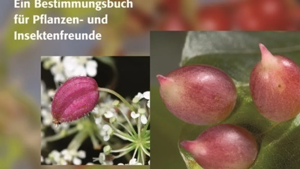 Handlicher Ratgeber für Anfänger und Fortgeschrittene. Buchcover: Quelle & Meyer Verlag