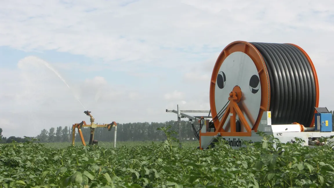 Mit einer Beregnungsanlage kann Mindererträgen in trockeneren Sommern vorgebeugt werden. Foto: Matthias Wiedenau