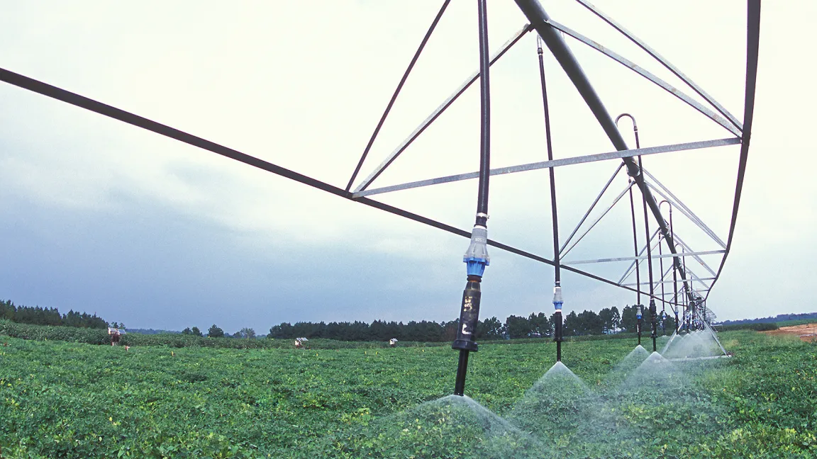 Bewässerung eines Erdnussfeldes. Foto: USDA