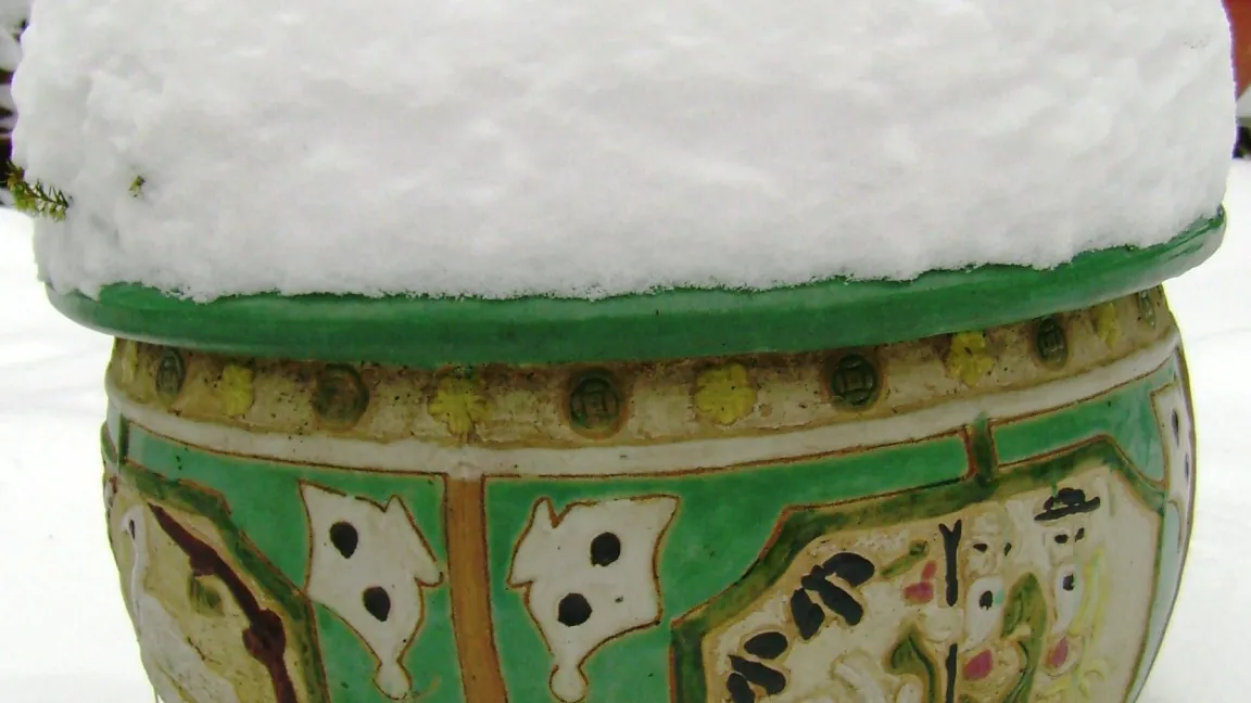 Auf solchen Schutz vor Winterfrost ist nicht immer Verlass. Foto: Dr. Klaus Margraf