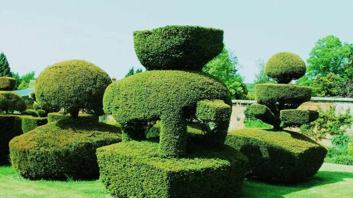 Pflanzen- und Tierskulpturen aus Buchsbaum. Foto: Klaus Margraf