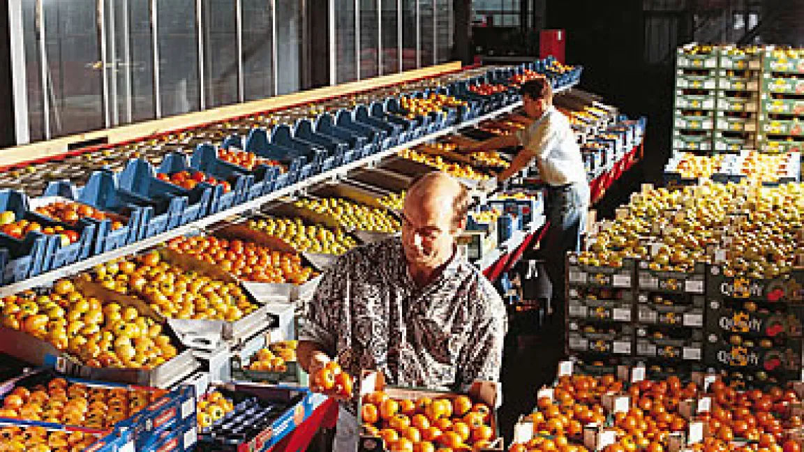 Blick auf das Obstangebot in einer Großmarkthalle
	Quelle: Bayer CropScience.