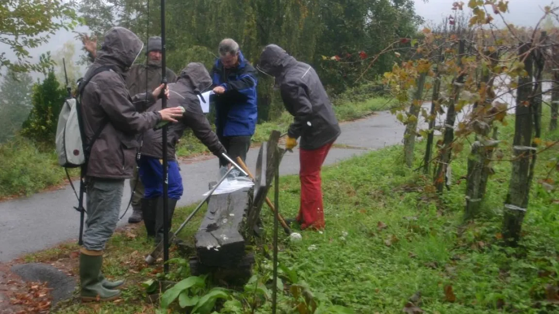 In den vergangenen Jahren hat das JKI zahlreiche Bodenproben in duetschen Wein- und Hopfenanbaugebietengenommen und auf Kupfergehalte analysiert. Foto: JKI