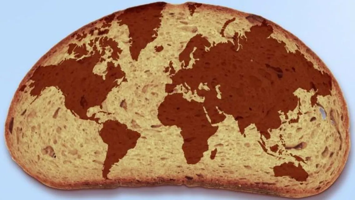 Die Versorgung der Weltbevölkerung mit Nahrungsmitteln ist eine der größten Herausforderungen der Zukunft. Foto: Matthias Wiedenau