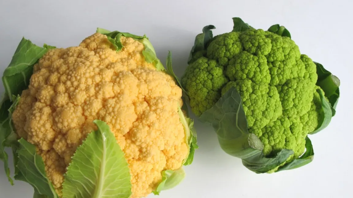 Neue Blumenkohlsorten werden farbiger. Foto: Joujou/pixelio.de