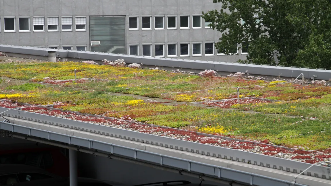 Auch die Dachbegrünung trägt zur Erhaltung der biologischen Vielfalt bei. Foto: Fotolia