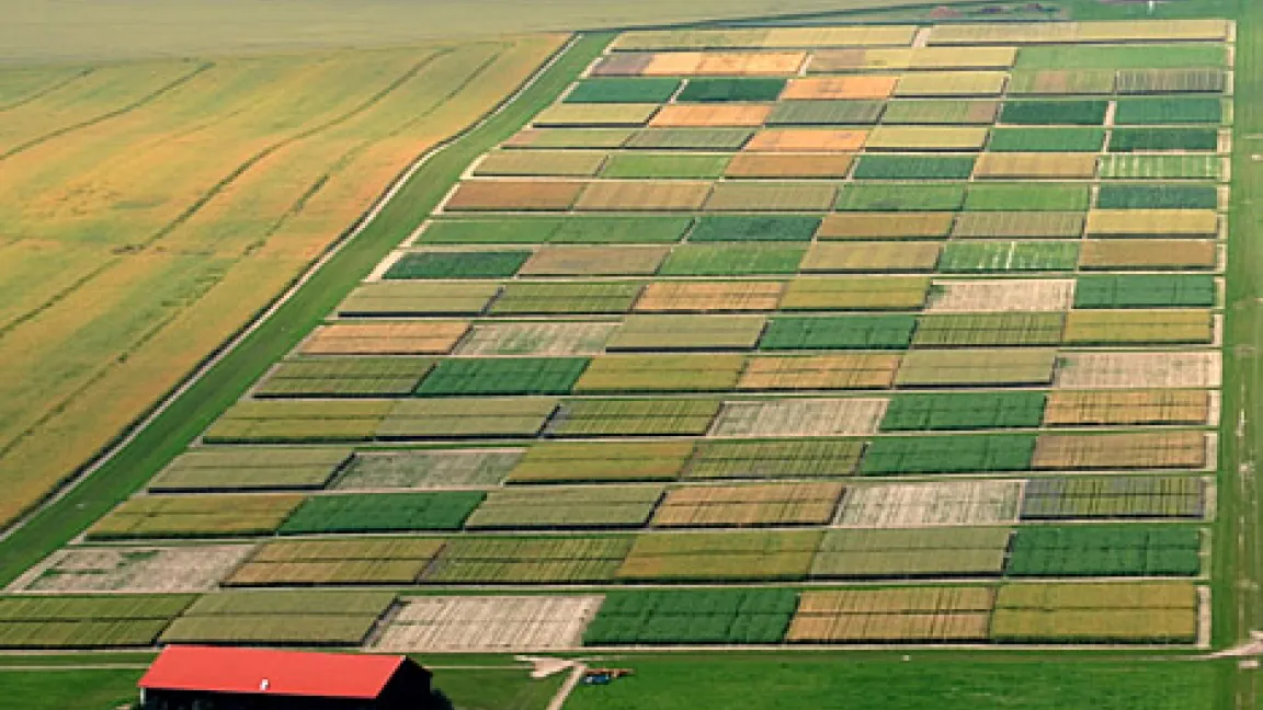 Der größte Teil der Versuchsfläche in Dahnsdorf aus der Luft.
Quelle: Baier