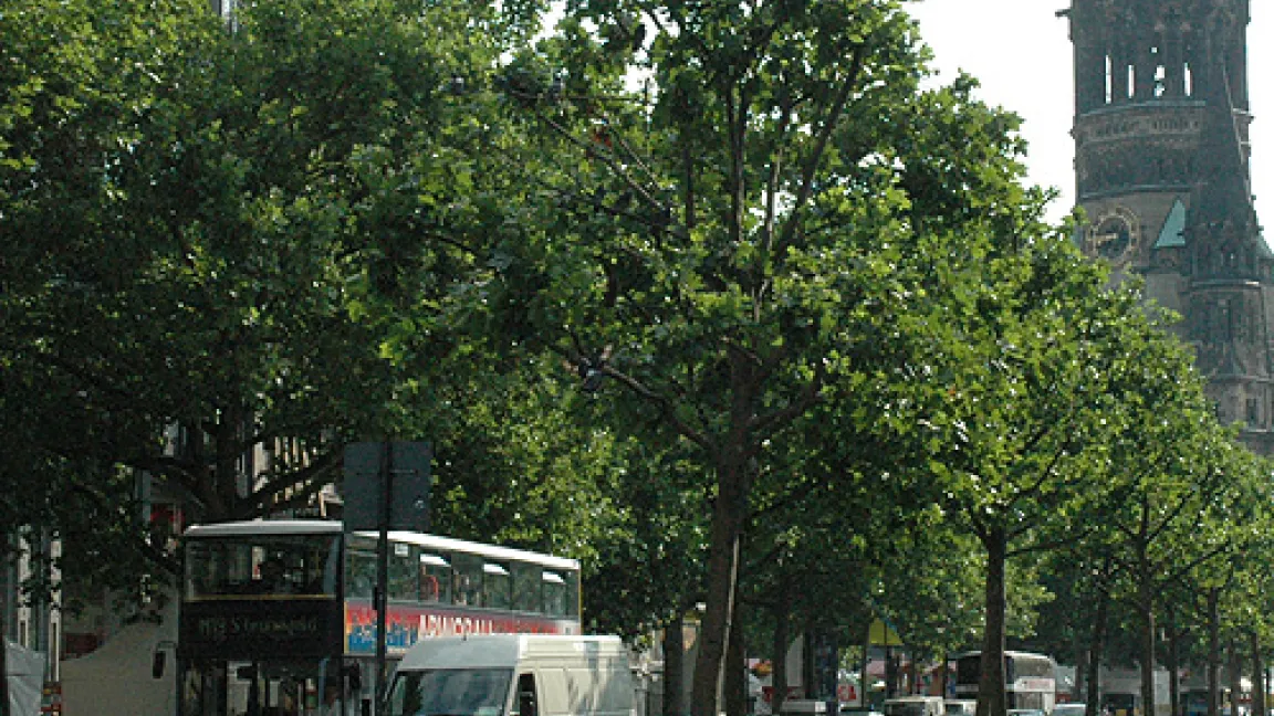 Der neue Kurfürstendamm.
	Quelle: Prof. Dr. Hartmut Balder