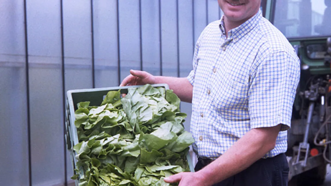 Deutsches Obst und Gemüse schneidet bei Rückstandsuntersuchungen gut ab. 
Quelle: FNL