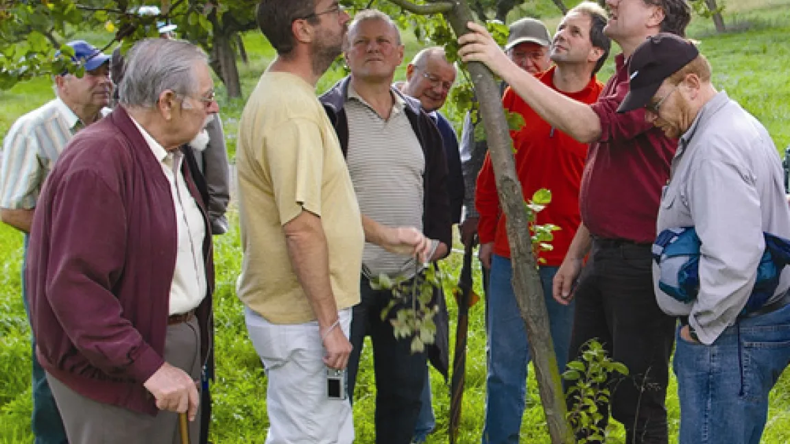Die erkrankten Apfelbäume werden in Augenschein genommen. In der Bildmitte mit dem Arm am Stamm eines erkrankten Baums: Prof. Dr. Peter Braun, Forschungsanstalt Geisenheim.
Quelle: Maintaler Tagesanzeiger