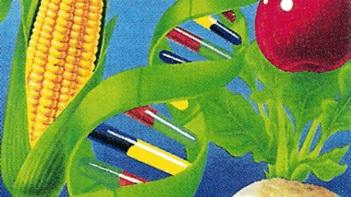 Die Grundbausteine der Erbsubstanz (DNA) sind Basen: Adenin (grün), Guanin (blau), Thymin (rot), Cytosin (gelb).
	Quelle: VCI, Frankfurt