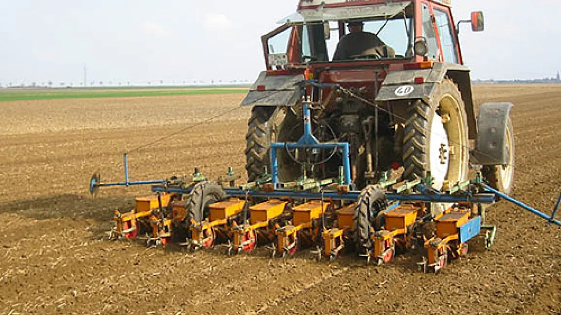 Die Rübensamen fallen aus den orangefarbenen Kästen auf den Boden und werden mit Rollen angedrückt. Die kleinen sichtbaren Leitbleche streichen die Saat mit einer 2 - 3 cm dicken Bodenschicht zu.
Quelle: Matthias Wiedenau.