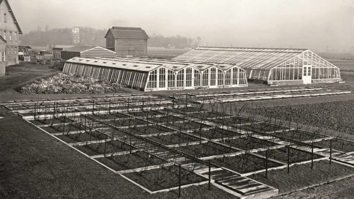 Gewächshäuser und Versuchsfelder ermöglichten Versuche an verschiedenen Kulturpflanzen. Foto: BASF SE