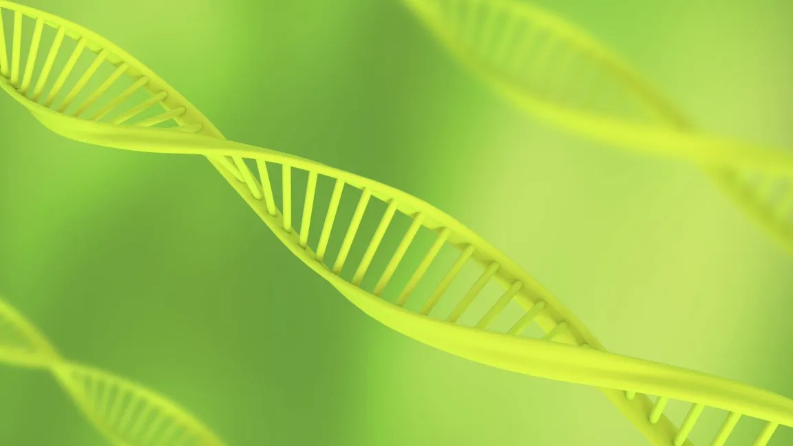 Die 2. Generation gentechnisch veränderter Pflanzen ist im Kommen. Foto: istock