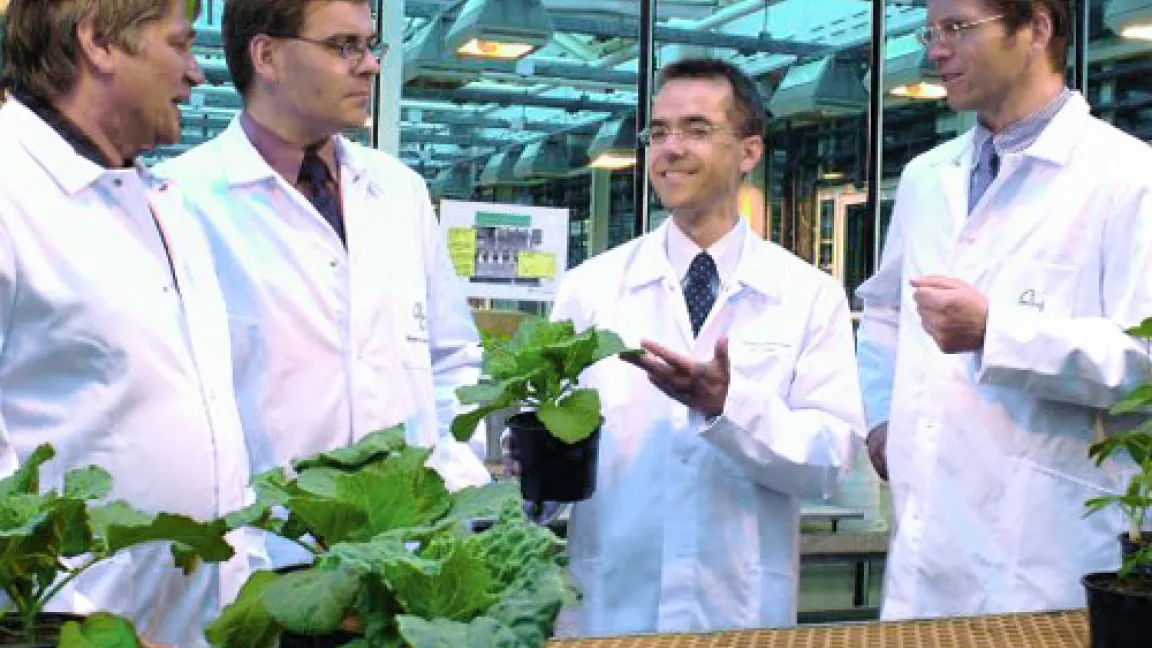 Dr. Peter Lümmen (2. v. r.) und sein Forscherteam.
Quelle: Bayer CropScience