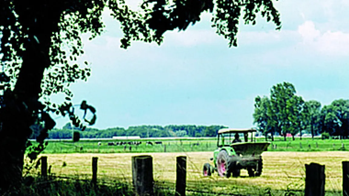 Düngung von Grünland.
	Quelle: IVA