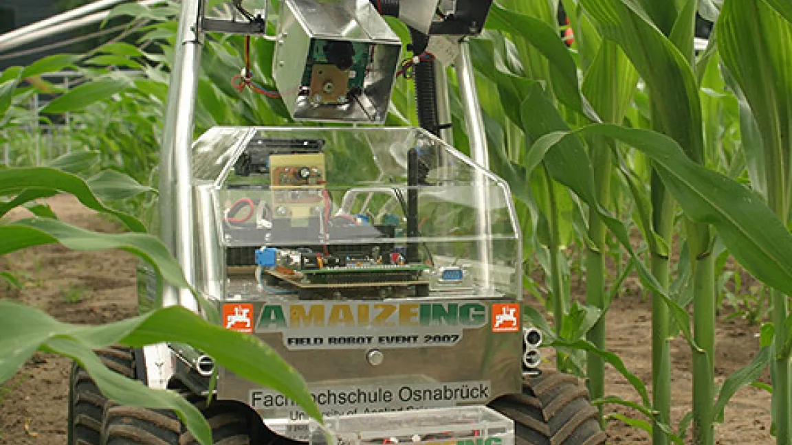Ein Feldroboter-Prototyp der FH Osnabrück im Mais.
	Quelle: FH Osnabrück