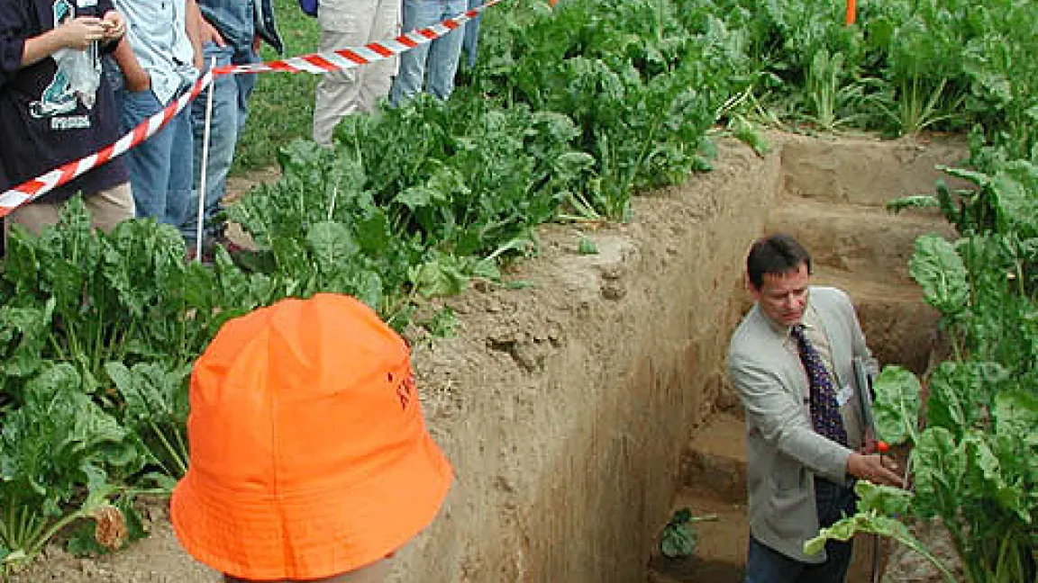 Einer Schulklasse werden die Bodenschichten gezeigt, die von den Rüben durchwurzelt werden.
	Quelle: FNL