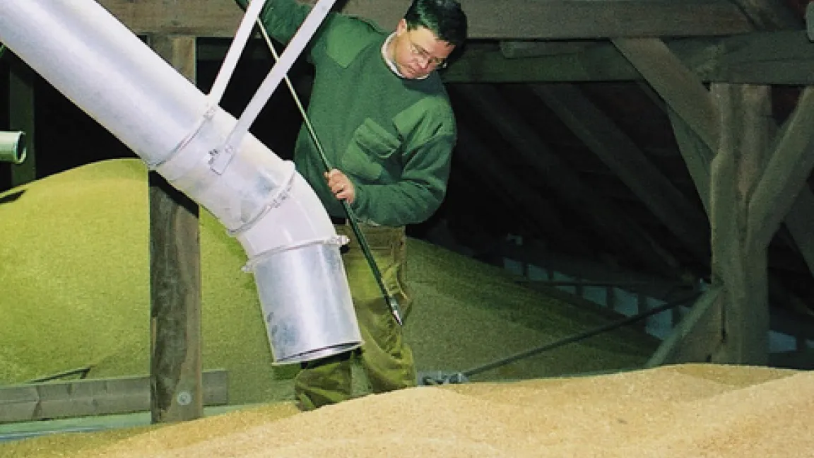 Einlagerung von Getreide.
Quelle: Werner Raupert, Land & Forst