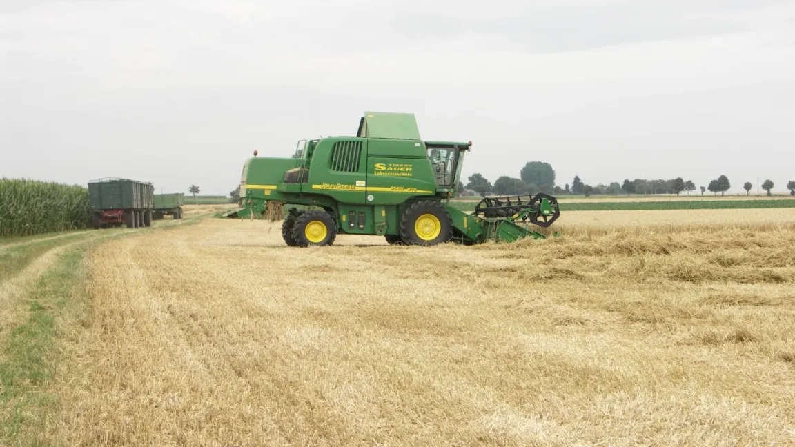Die Getreideernte 2013 war Ende August in fast allen deutschen Anbaugebieten eingefahren. Foto: Matthias Wiedenau
