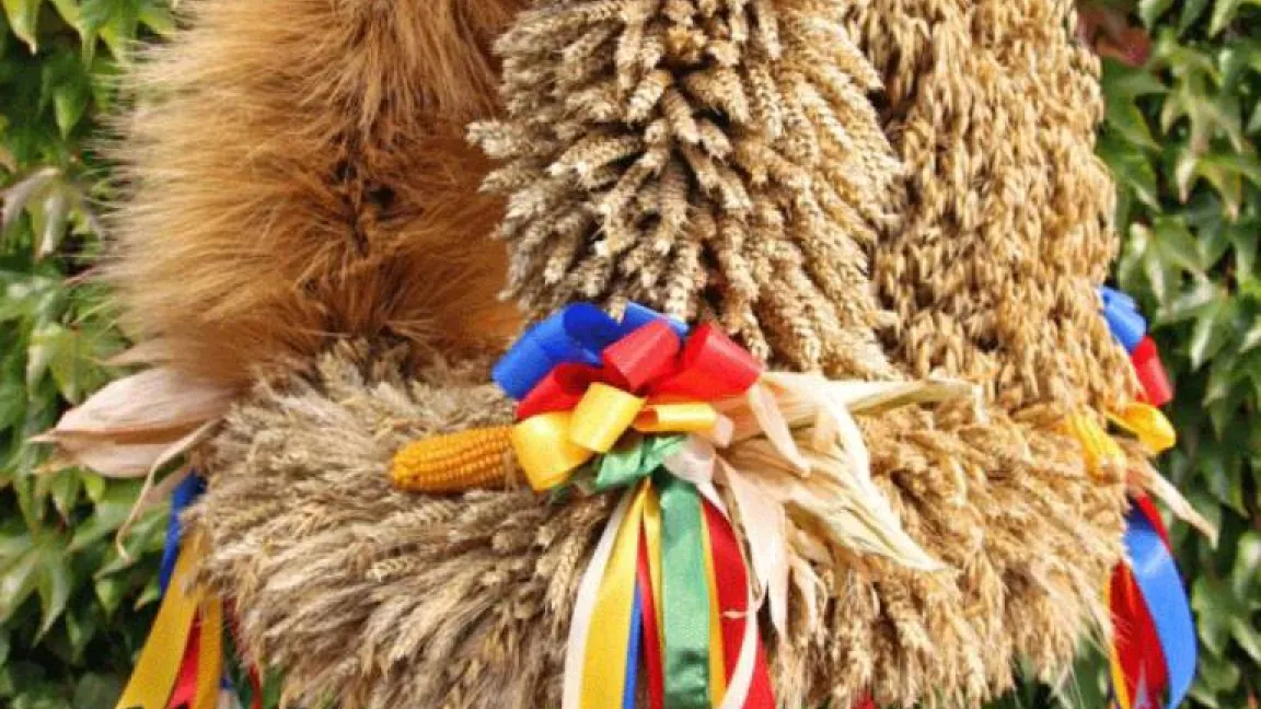 Erntekrone. Foto: Fotlia