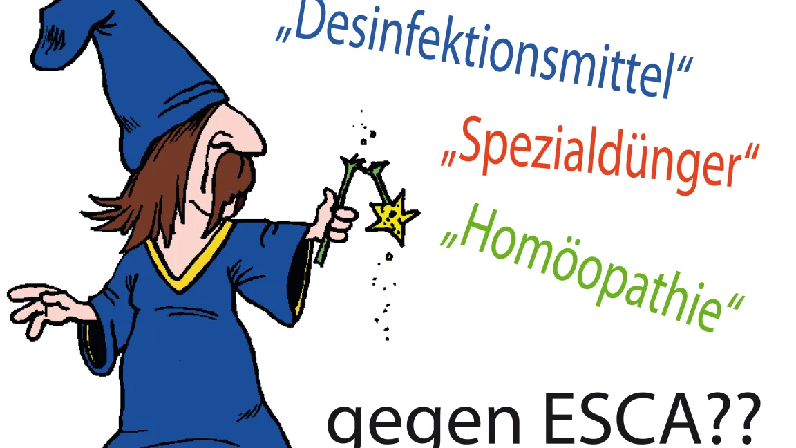 Bekämpfung der Esca-Krankheit durch Hexerei? Foto: Arno Becker, DLR