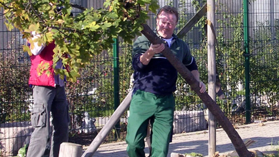Fällen eines mit dem Bockkäfer befallenen Baums
	Quelle: Landwirtschaftskammer NRW.