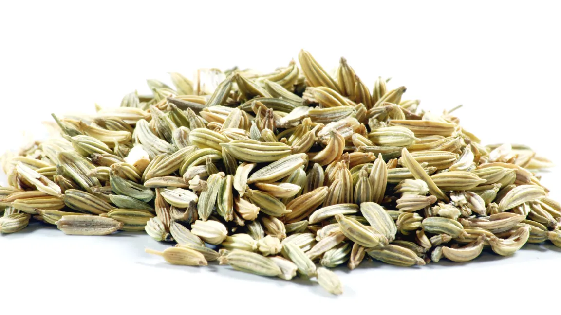 Seine Samen finden Vewendung in Tee, Gewürzen und Heilmitteln. Foto: Fotolia