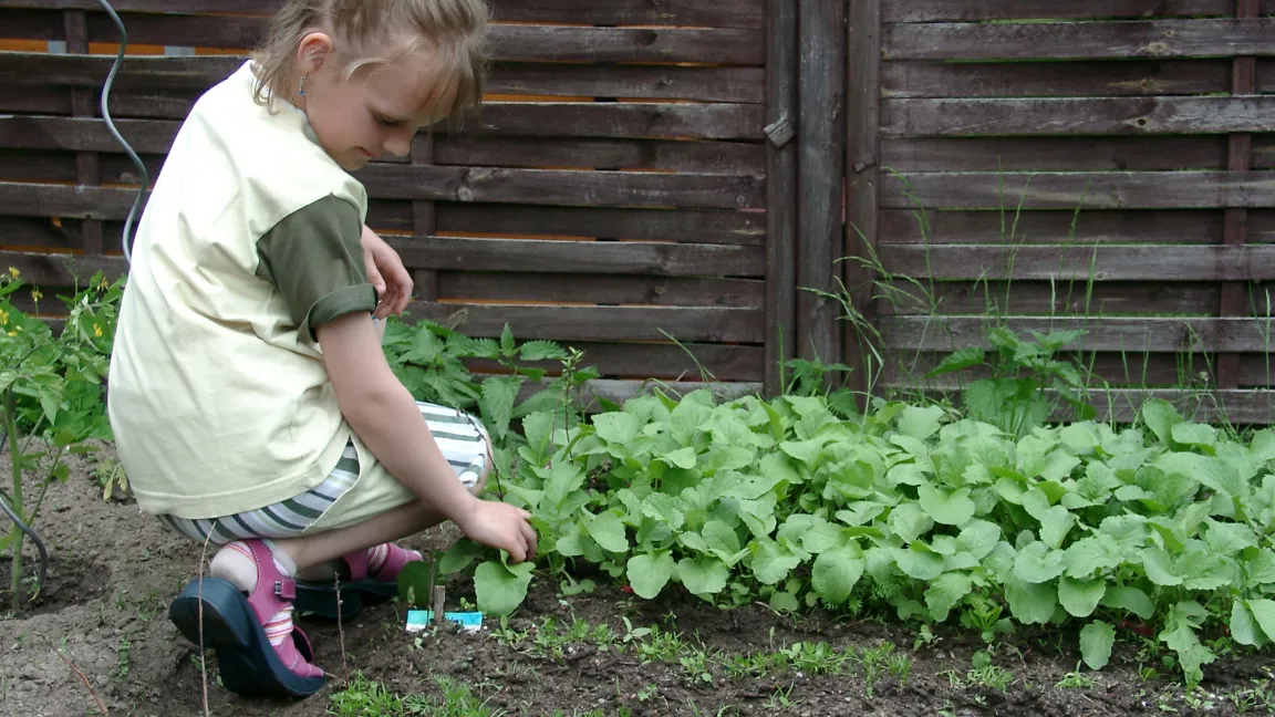 Das eigene Beet weckt Spaß am Gärtnern. Foto: Thomas Wagner, BDG