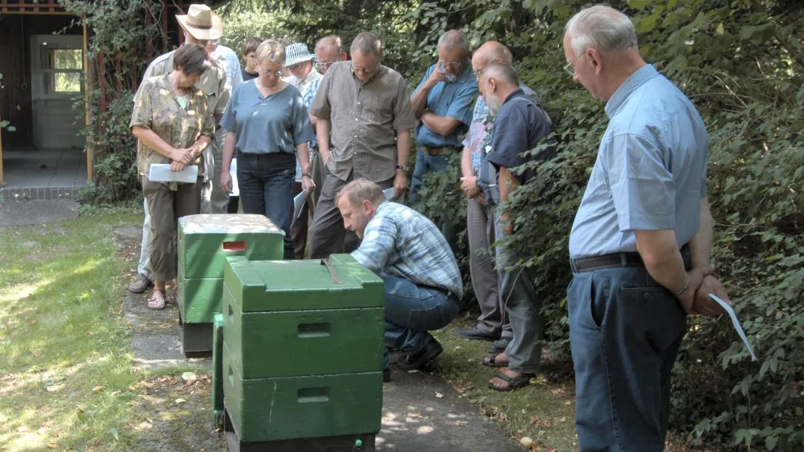 Freizeitimker sollten sich zunächst schulen lassen und danach kontinuierlich fortbilden. Foto: Institut für Bienenkunde, Celle