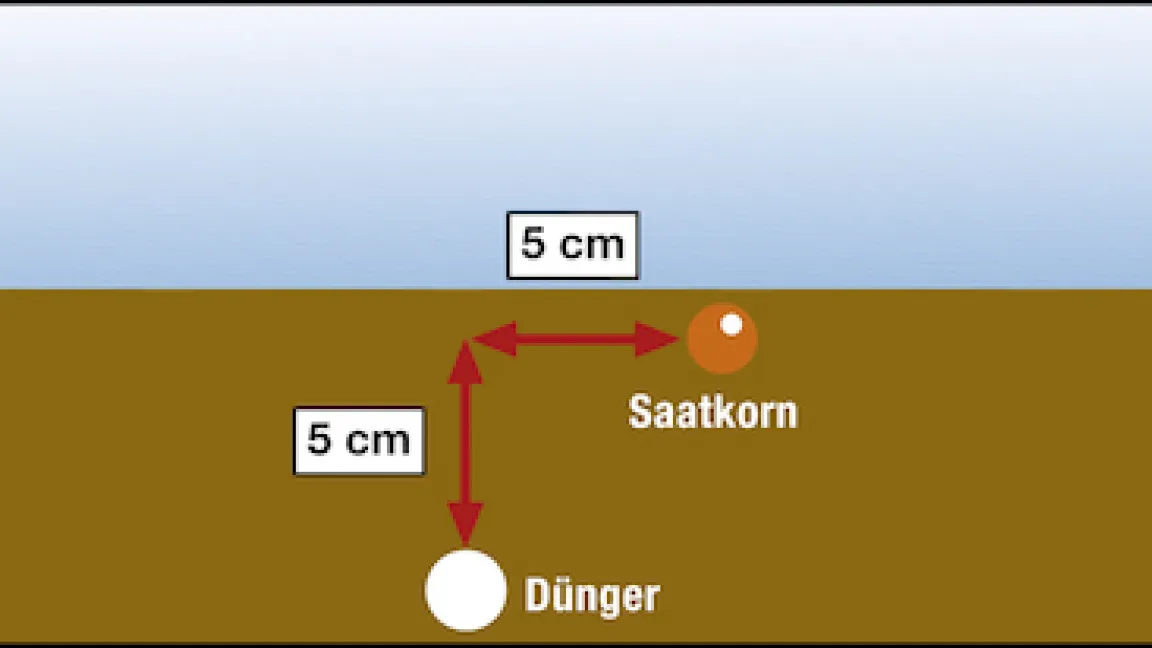 So wird der Dünger im Maisanbau platziert. Foto: KWS
