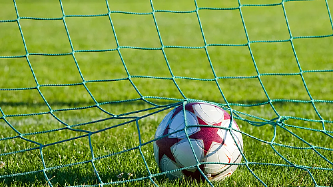 Die Fußball-WM in Südafrika hat begonnen. Gespielt wird auf gut gepflegtem Rasen.
Quelle: adpic