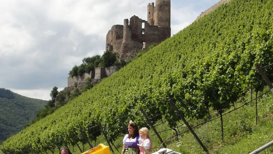 .. z.B. wie hier bei Burg Ehrenfels. Foto: Dr. Rainer Keicher