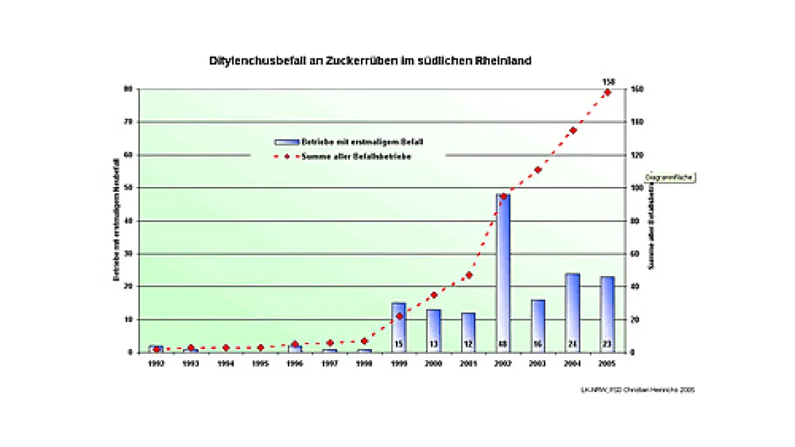 Gemeldete Betriebe mit Rübenkopfälchen-Befall (rote durchbrochene Linie) bzw. Zahl der erstmals befallenen Betriebe.
Quelle: Monsanto