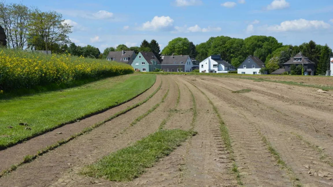 Rollrasenfläche nach der "Ernte". Foto: Matthias Wiedenau