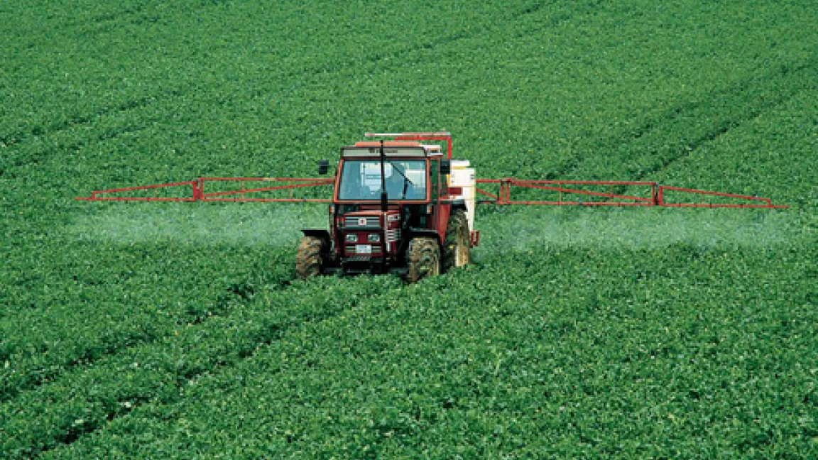 Gezielte Bekämpfungsmaßnahmen verringern das Risiko, dass die Rapsglanzkäfer erneut Resistenzen entwickeln.
	Quelle: Bayer CropScience