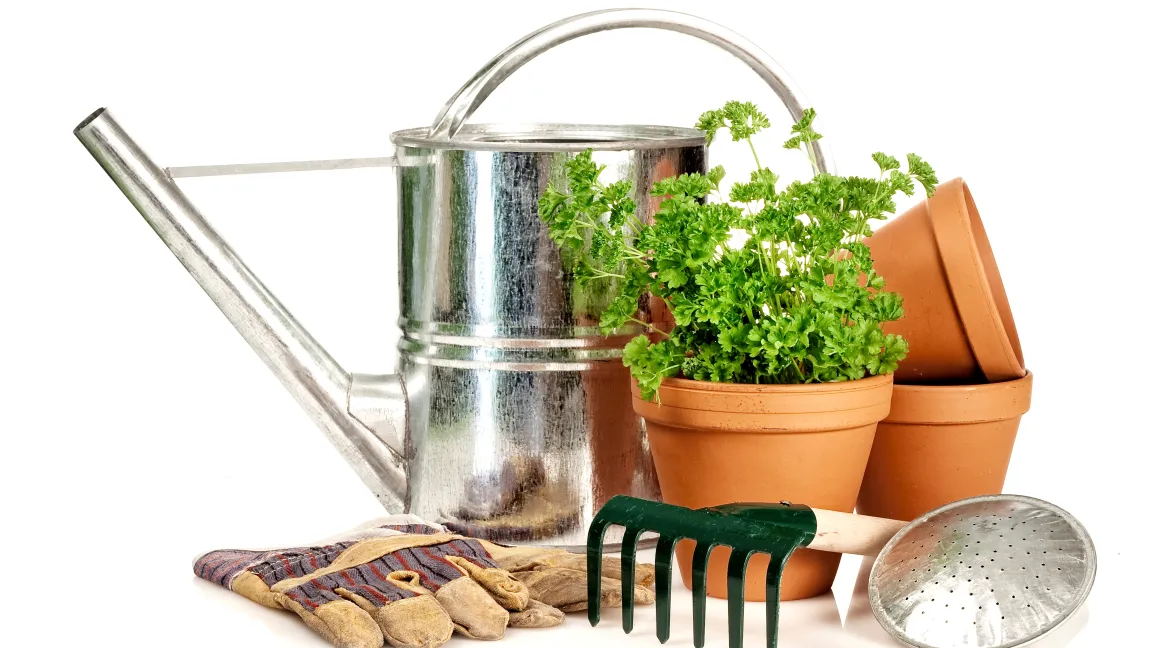 Gartentipps im April. Foto: istock